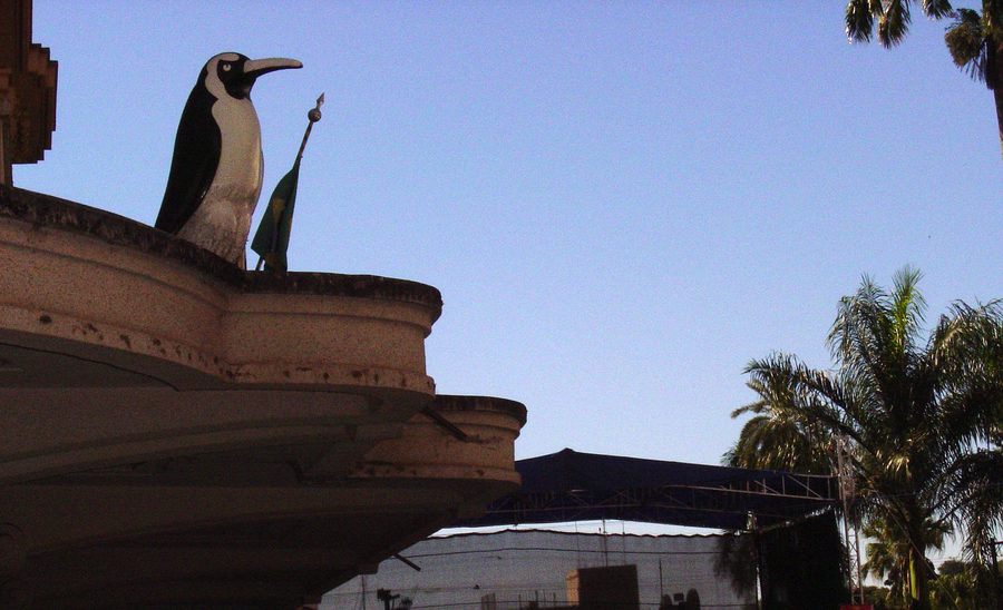 Os pingüins da choperia Pingüim possuem vista privilegiada da Feira do Livro e Ribeirão Preto | © Lima Andruška