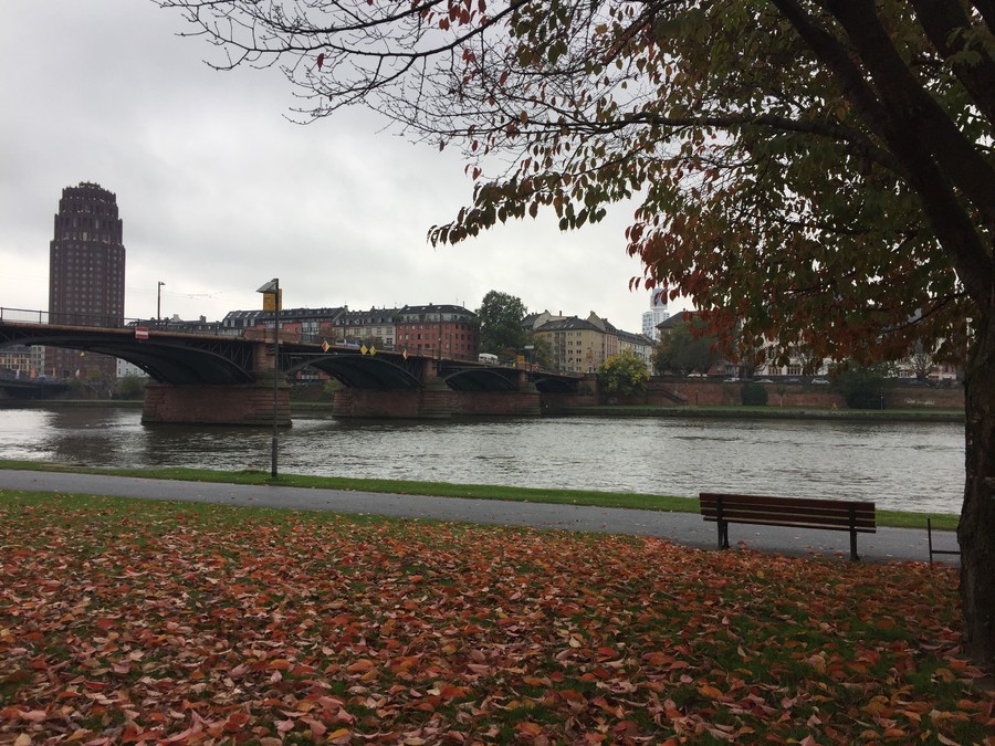 Aproveitando os últimos suspiros de tranquilidade nos dias que antecedem a feira, Rafaela conseguiu andar pelas margens do Main, o rio que corta Frankfurt | © Rafaela Lamas