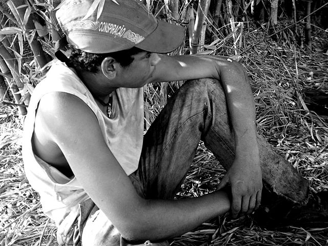 Volnei questiona, por exemplo, se os nossos políticos estão preocupados com os índices de emprego de trabalho infantil. Na imagem, um garoto, que aos 16 anos, trabalhava no corte de cana | © Cícero R. C. Omena / WikiCommons