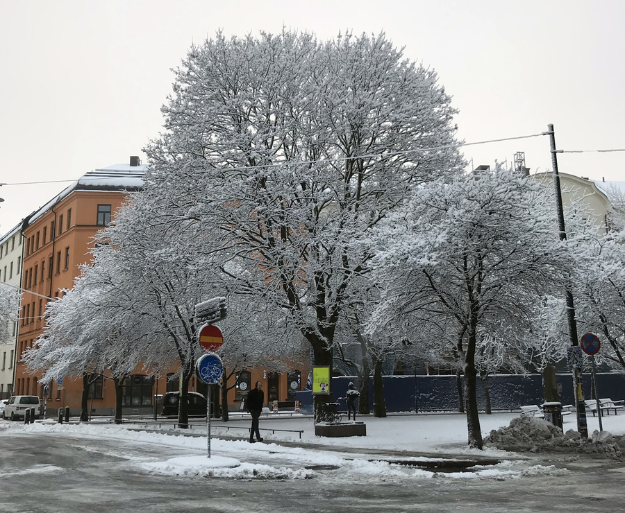 Rua de Estocolmo após nevasca em dezembro. © Lima Andruška