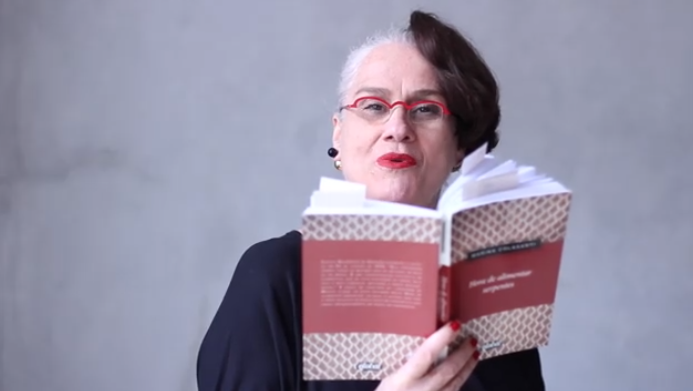 Vera Holtz, em 2016, lendo trechos de 'Hora de alimentar serpentes' | Reprodução Vera Holtz, em 2016, lendo trechos de 'Hora de alimentar serpentes' | Reprodução