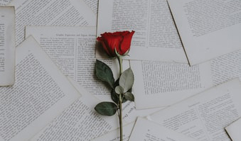 dKjoa16MQbaQmCcdCTQlPDPK5rwHtGnP5pL62WCvAivojkMhosTtmmWXqTbTVfLbTzkEDdlZrAN5NPTi
