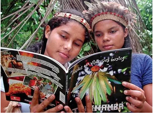 Idealizada por alunos de projetos da Esalq/USP, campanha vai beneficiar reserva indígena Rio Silveira, localizada entre os municípios paulistas de Bertioga, São Sebastião e Salesópolis | Reprodução do site da campanha Idealizada por alunos de projetos da Esalq/USP, campanha vai beneficiar reserva indígena Rio Silveira, localizada entre os municípios paulistas de Bertioga, São Sebastião e Salesópolis | Reprodução do site da campanha
