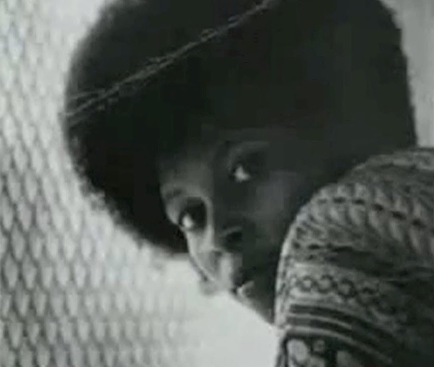 Assata Shakur | © Divulgação Pallas Editora Assata Shakur | © Divulgação Pallas Editora