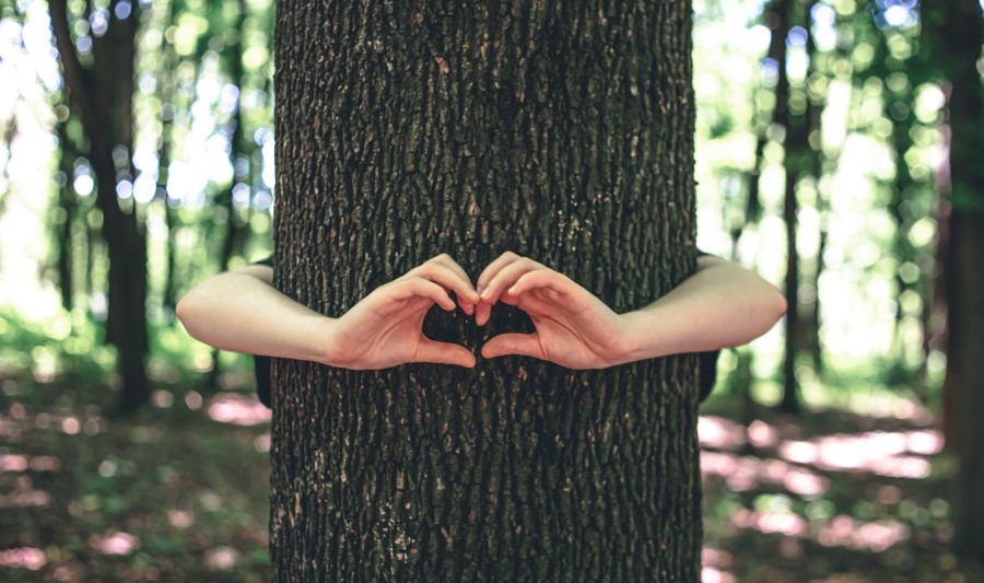 Toma Aí Um Poema – Antologia Eco(ar)