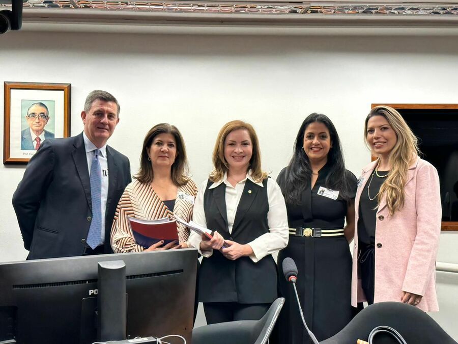 Representates das entidadades do livro defendem imunidade tributária em Brasília | © CBL Representates das entidadades do livro defendem imunidade tributária em Brasília | © CBL