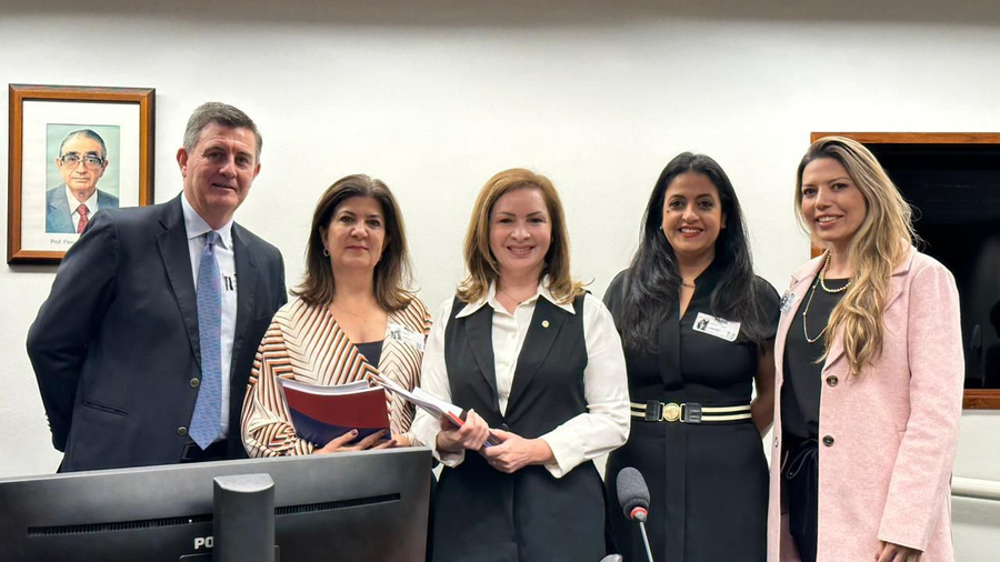 Representates das entidadades do livro defendem imunidade tributária em Brasília | © CBL