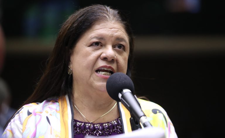 Laura Carneiro, autora do projeto de lei | © Zeca Ribeiro/Câmara dos Deputados