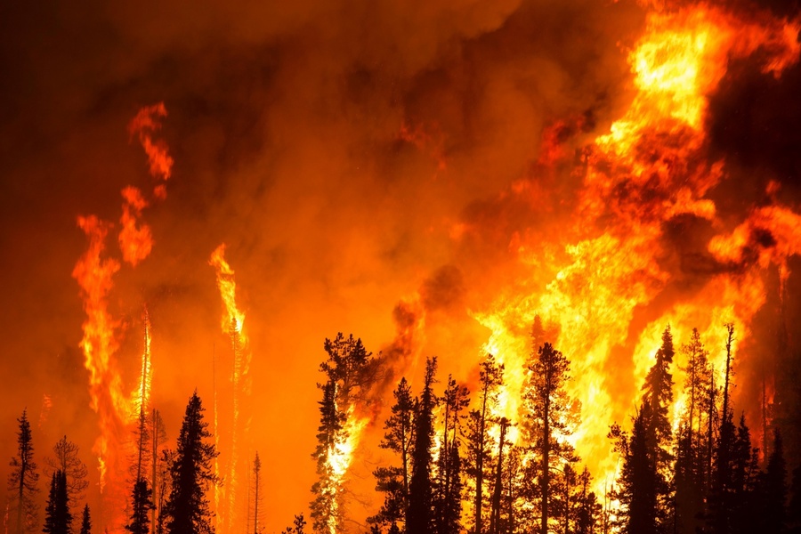 Incêndios nos EUA afetaram também editoras e livrarias | © publicdomainpictures