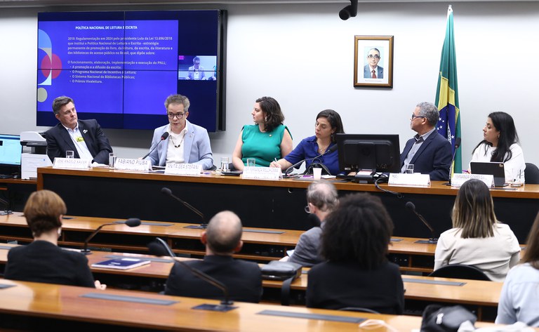 Audiência pública na Câmara discutiu detalhes do PNLL | © Vinicius Loures/Câmara dos Deputados Audiência pública na Câmara discutiu detalhes do PNLL | © Vinicius Loures/Câmara dos Deputados