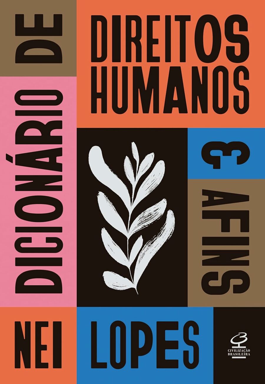 Dicionário de direitos humanos