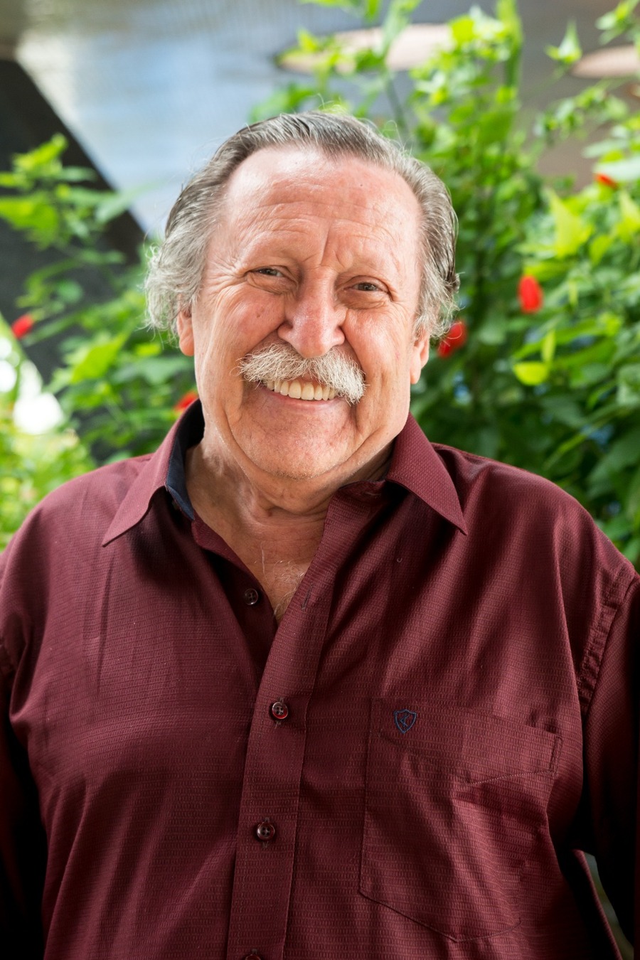 Pedro Bandeira fará sessões de autógrafos de nova edição de um de seus livros mais conhecidos | © Moderna