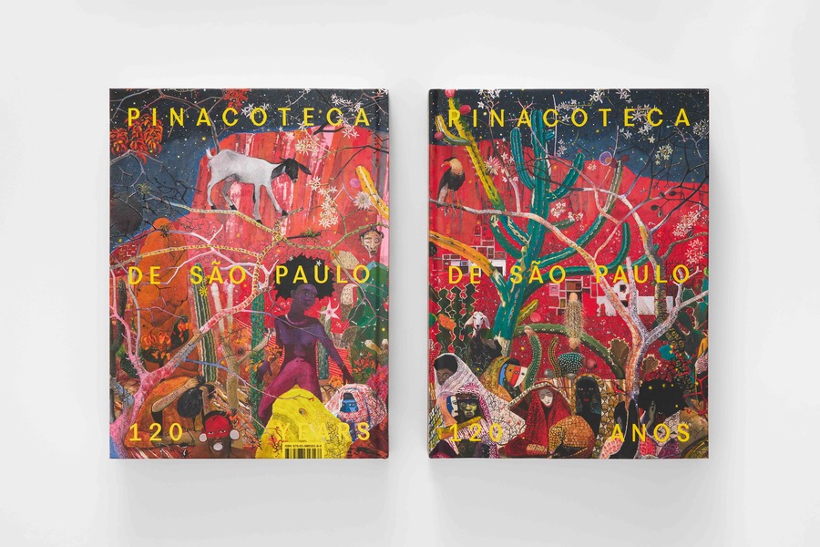 Capa do livro Pinacoteca São Paulo &mdash; 120 anos' | &copy; EstúdioEmObra / Cortesia Act Arte