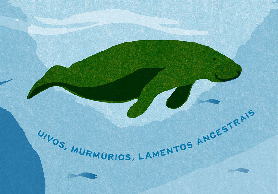 Miolo de 'Refloresta' | &copy; Daniel Kondo