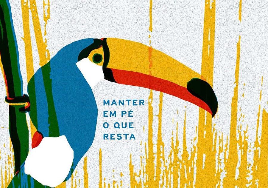 Miolo de 'Refloresta' | &copy; Daniel Kondo