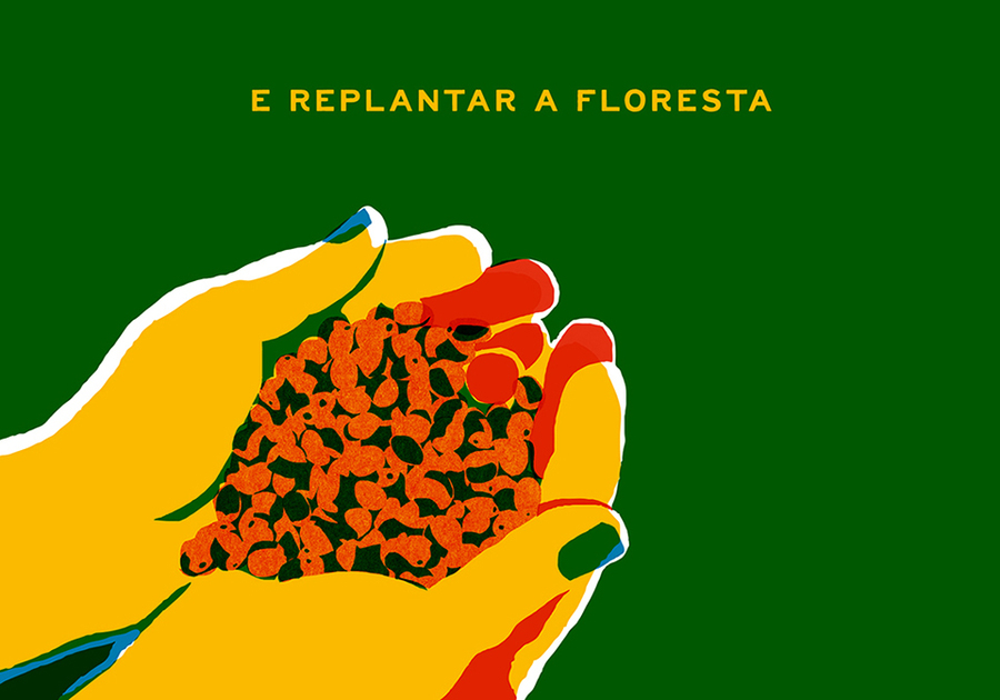 Miolo de 'Refloresta' | &copy; Daniel Kondo