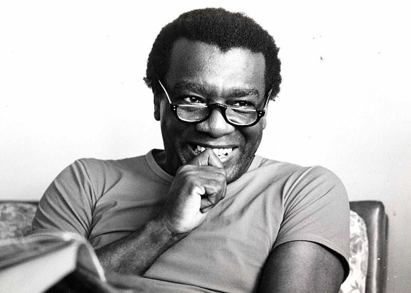 14º Fliaraxá homenageia o centenário de nascimento de Milton Santos | &copy; Divulgação