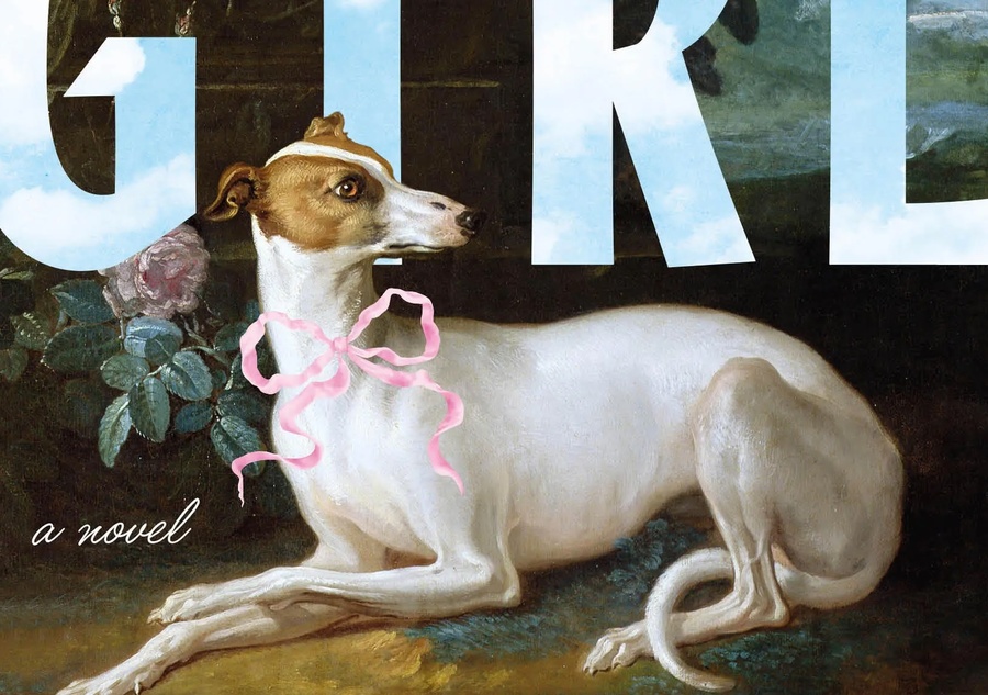 Detalhe na capa americana de 'Shy Girl', no site da Hachette | &copy; Divulgação Hachette Book Group